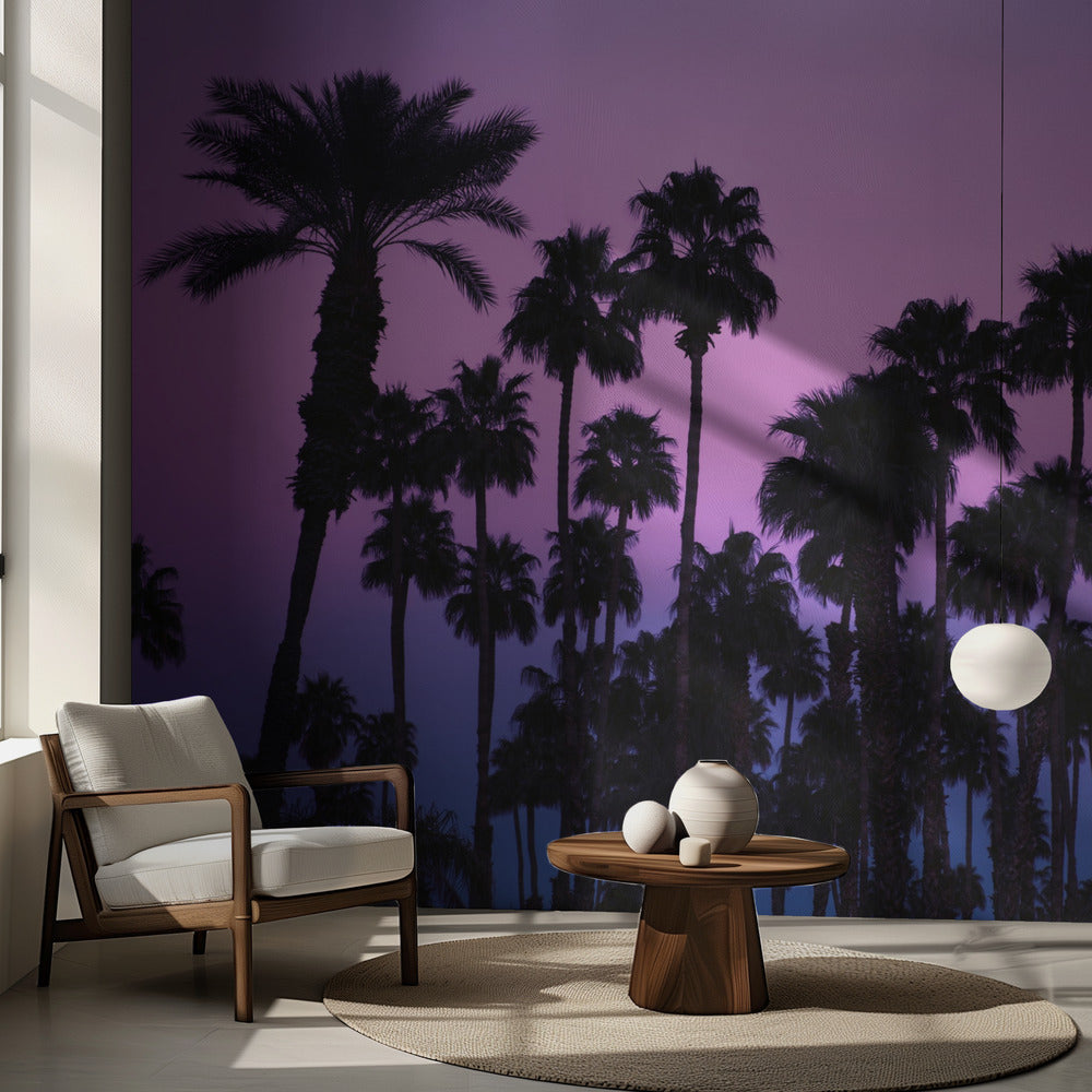 Palmiers sous un ciel rose | Fonds d'écran