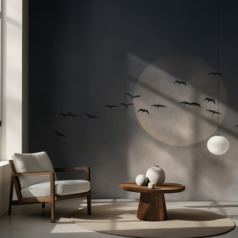 Ailes | Fond d'écran