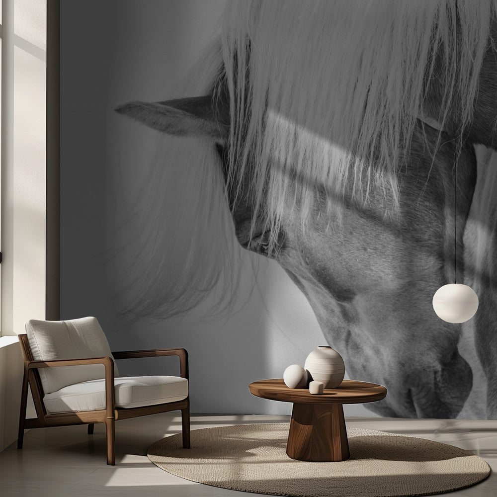 Portrait de Halflinger | Fonds d'écran