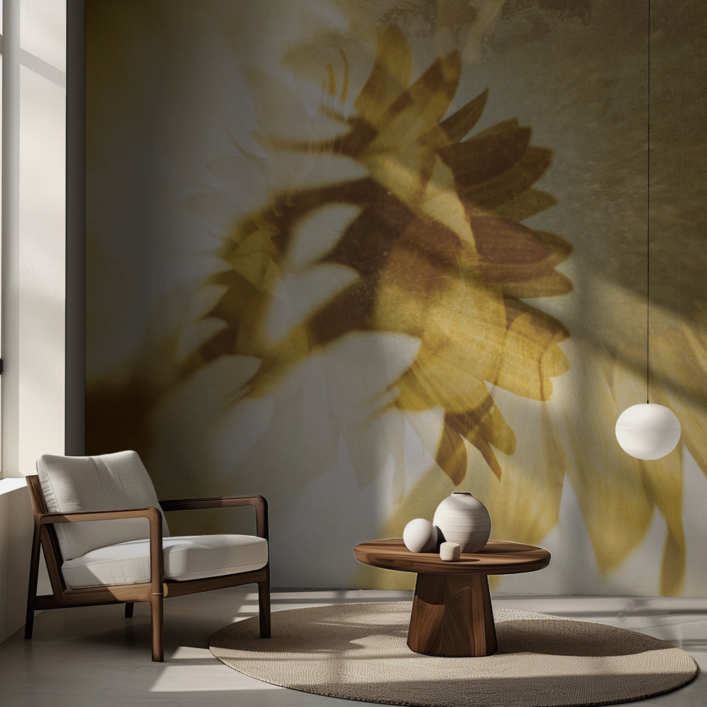 Tout comme le soleil | Fond d'écran