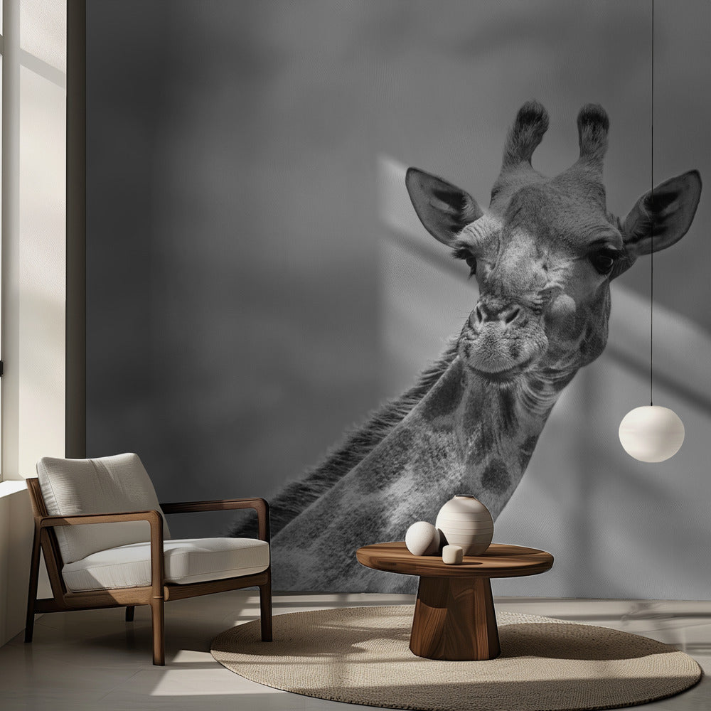 La girafe - Faune V | Fonds d'écran