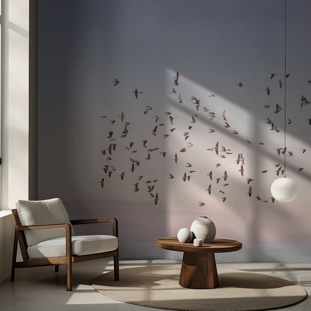 Vol au coucher du soleil | Fond d'écran