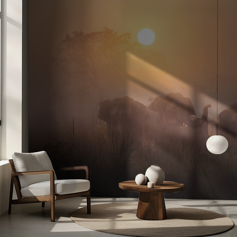 Matins | Fond d'écran