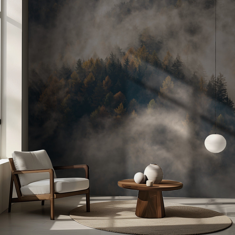 Brouillard dans les arbres | Fond d'écran