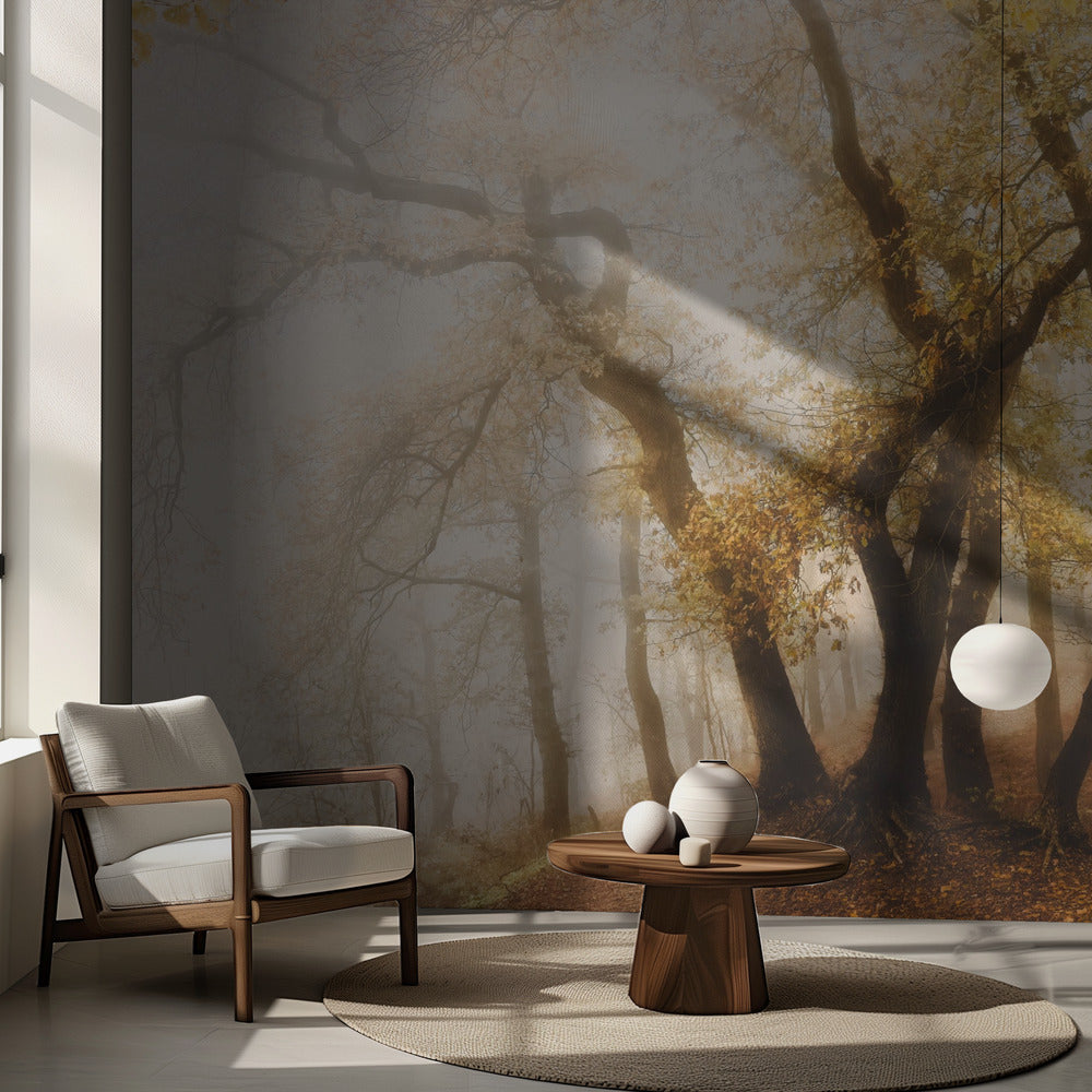 Arbres dansants | Fond d'écran