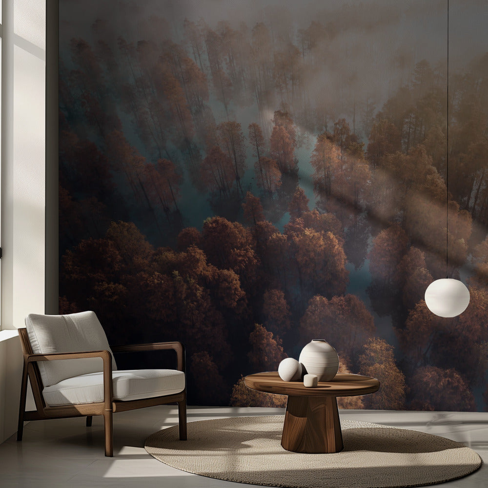 Automne | Fond d'écran