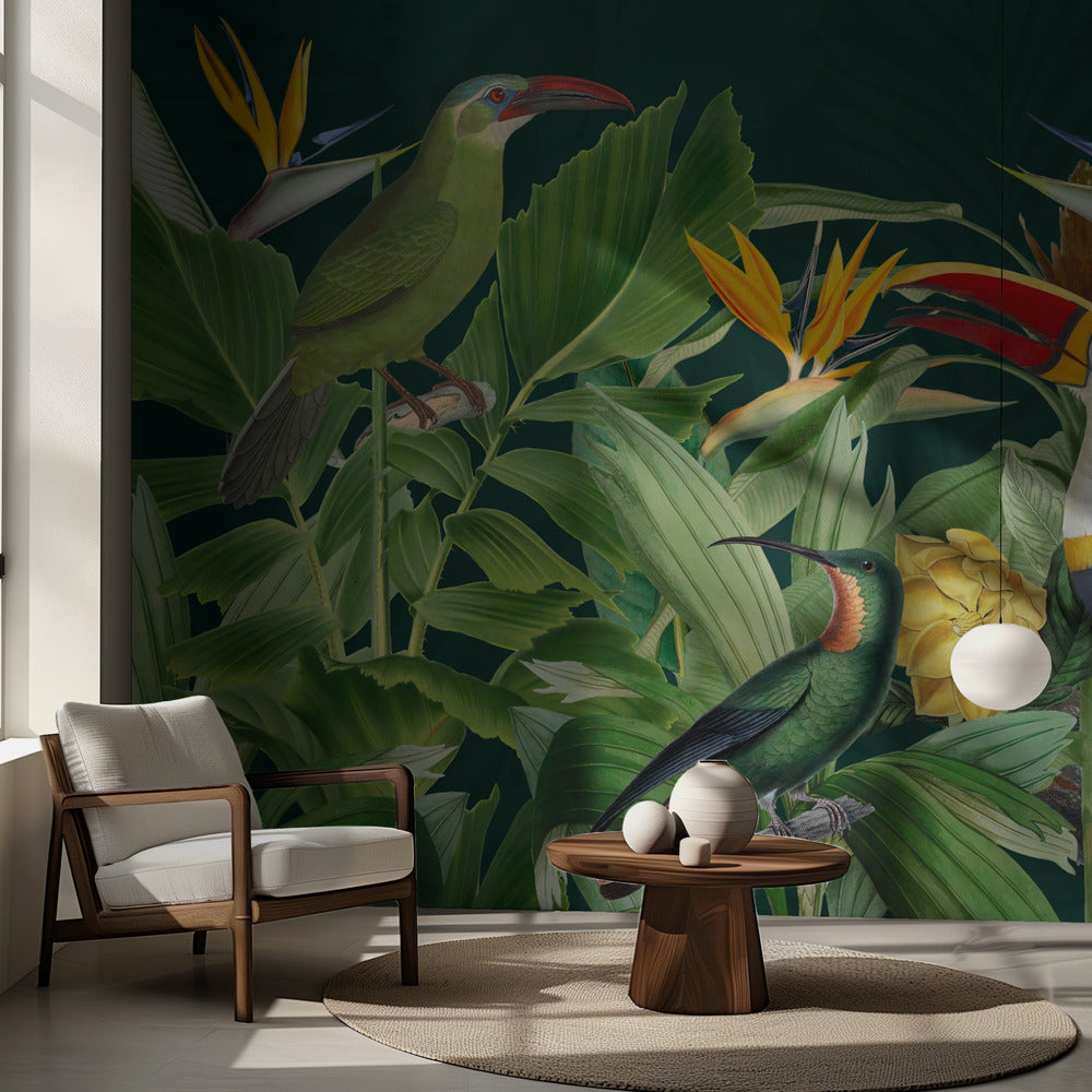 Oiseaux de la forêt tropicale | Fond d'écran