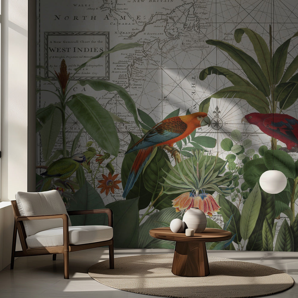 Faune exotique 006 | Fonds d'écran