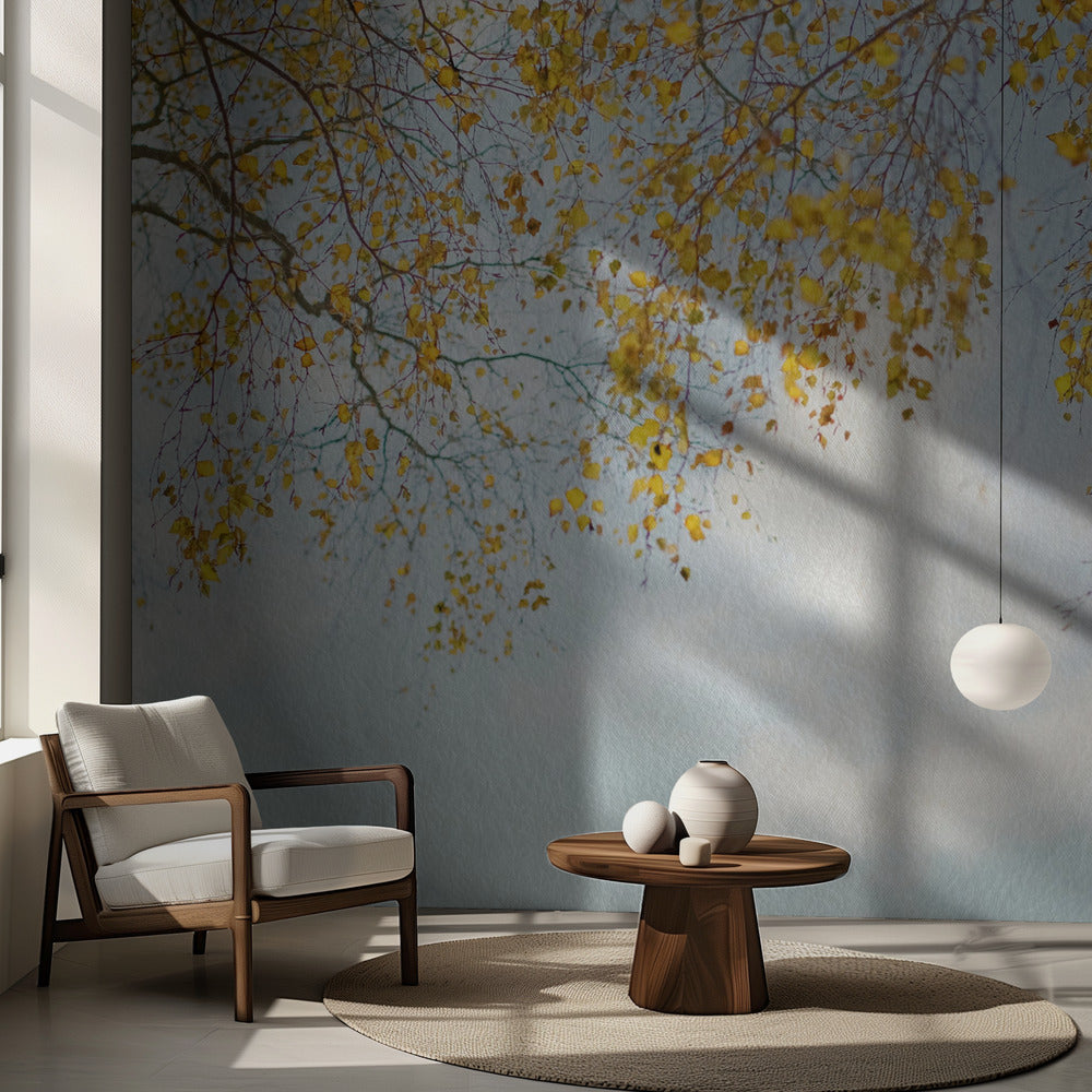 Feuilles de bouleau argentées sur ciel bleu | Fonds d'écran