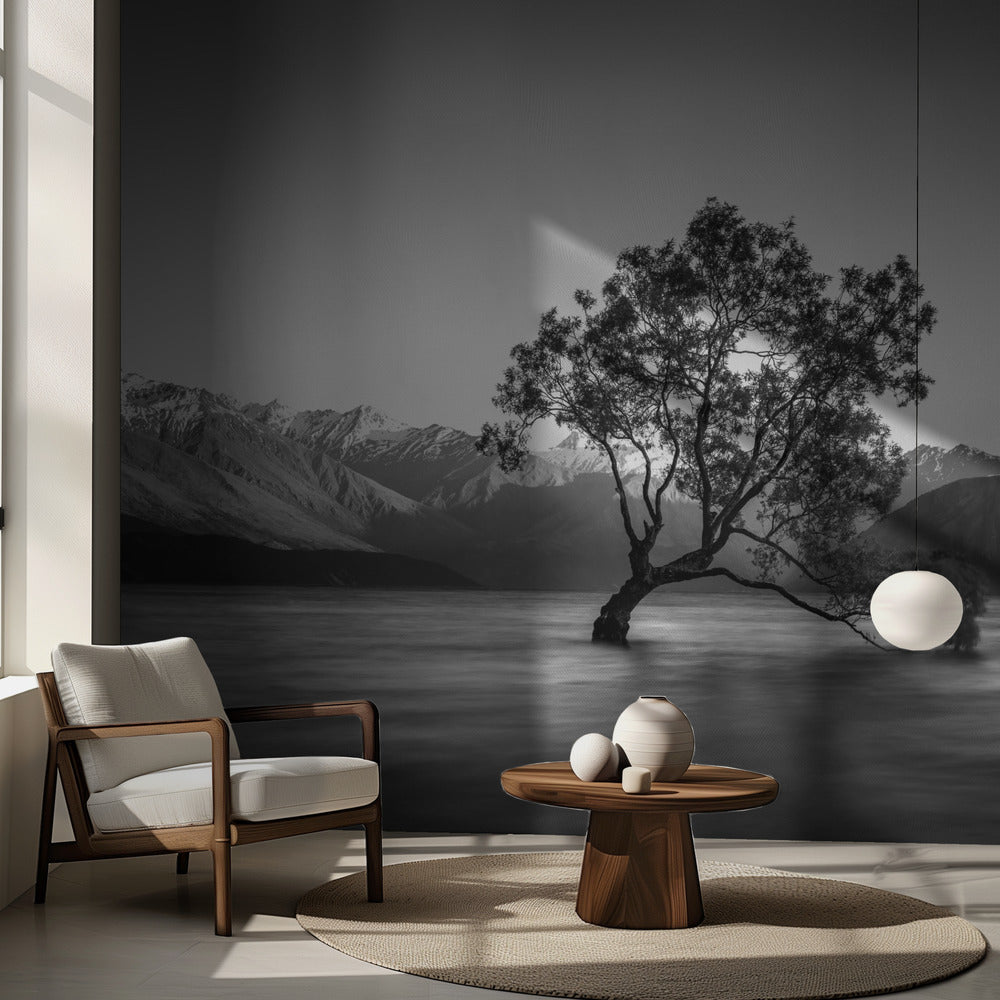 Arbre de Wanaka | Fond d'écran