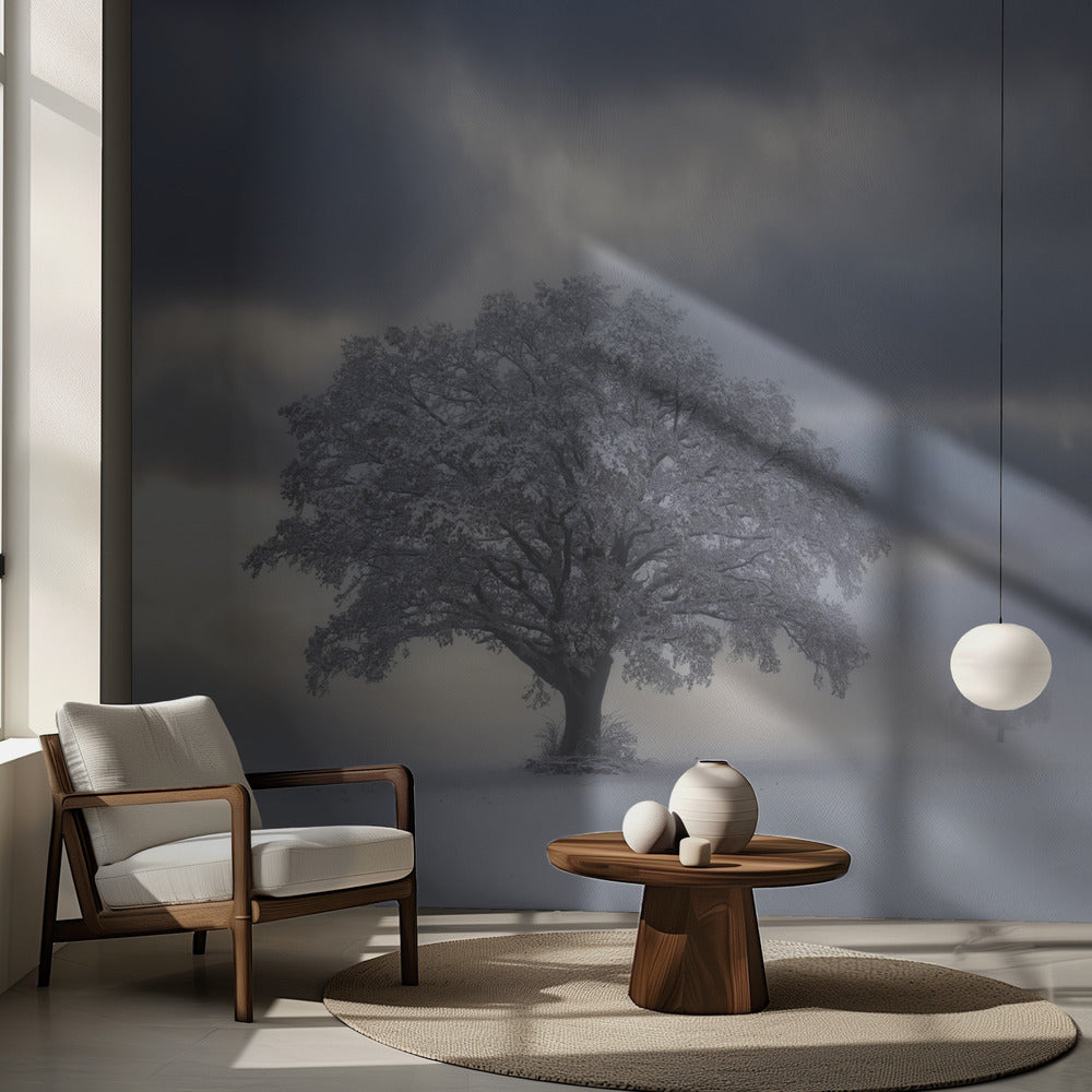 Matin froid | Fond d'écran