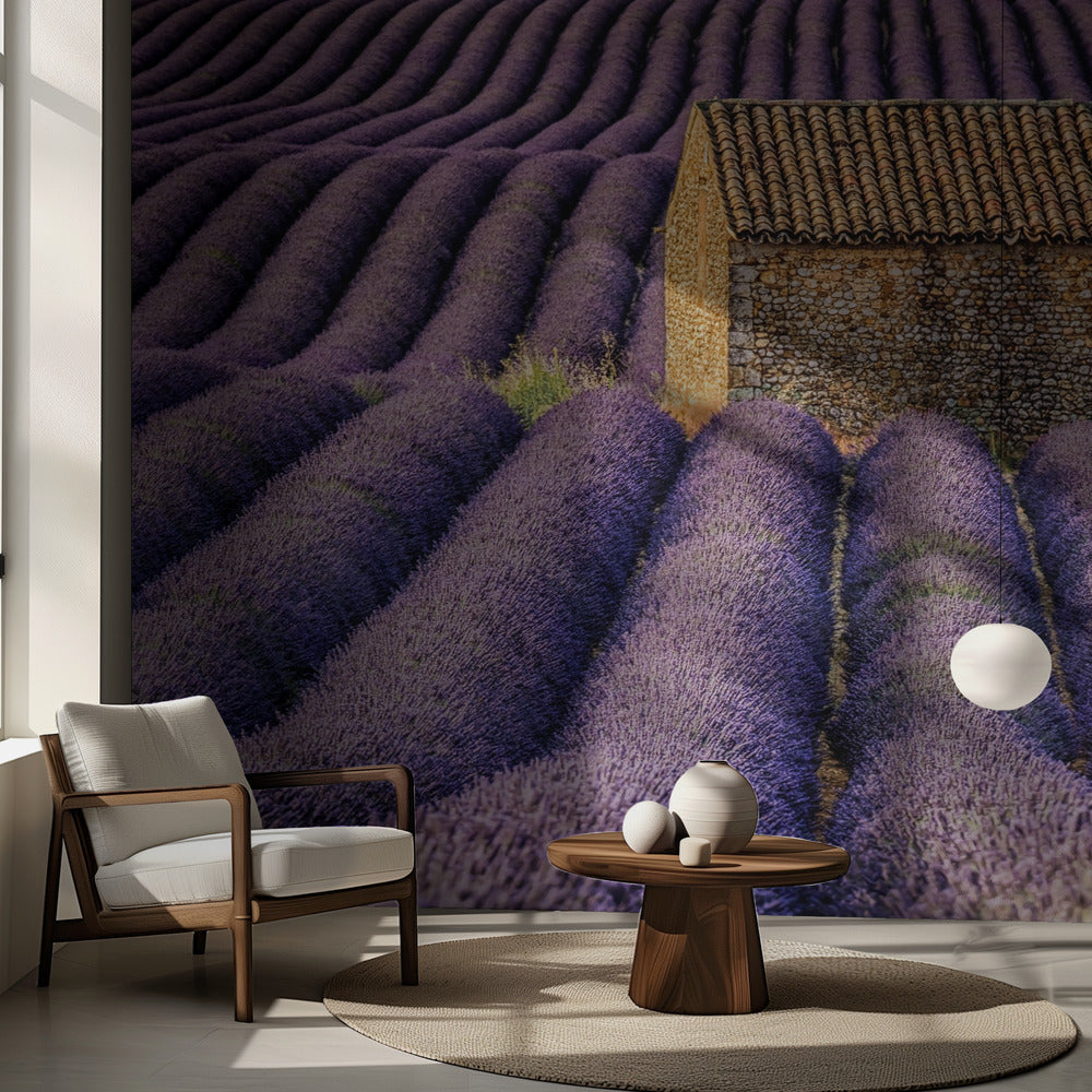 La cabane | Fond d'écran