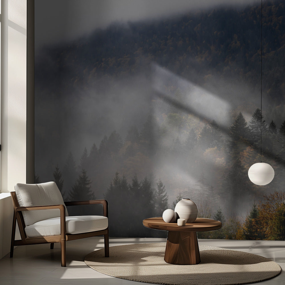 Bois brumeux 9 | Fond d'écran