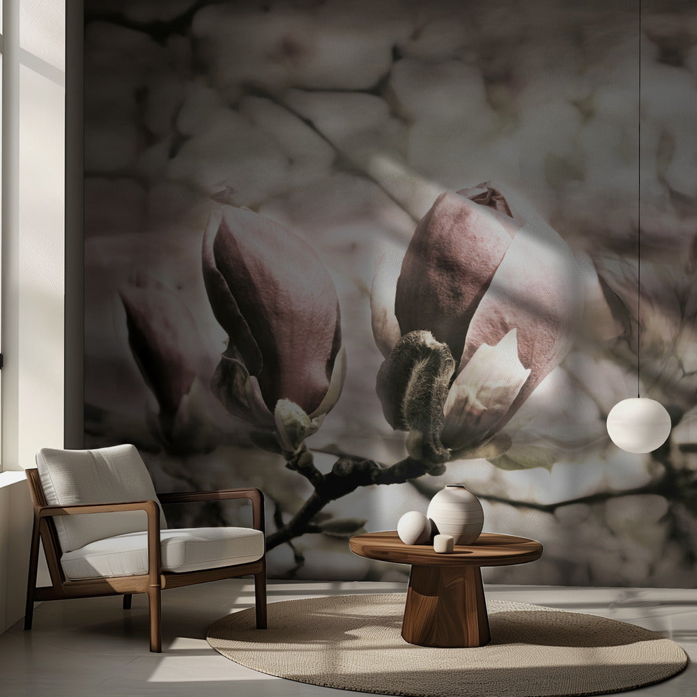 Wiosna magnolii | Fototapeta