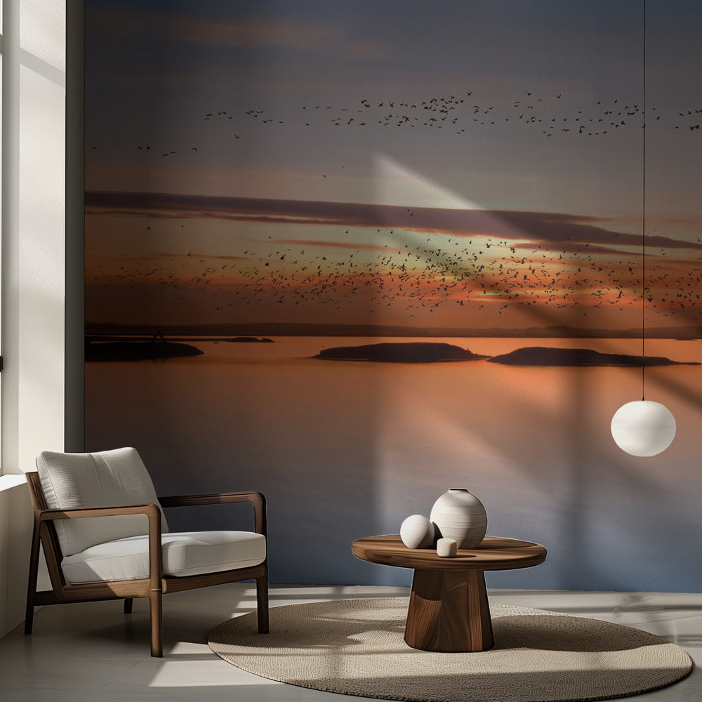 au coucher du soleil | Fond d'écran