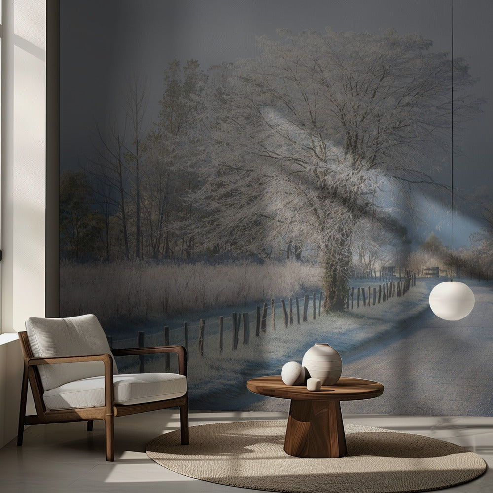 Un matin glacial | Fond d'écran