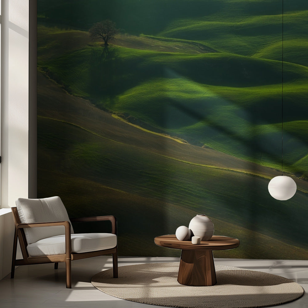 Chêne... | Papier peint