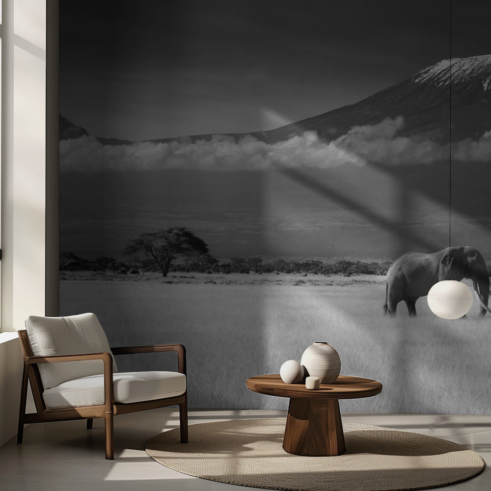 Lost Colors II | Fond d'écran