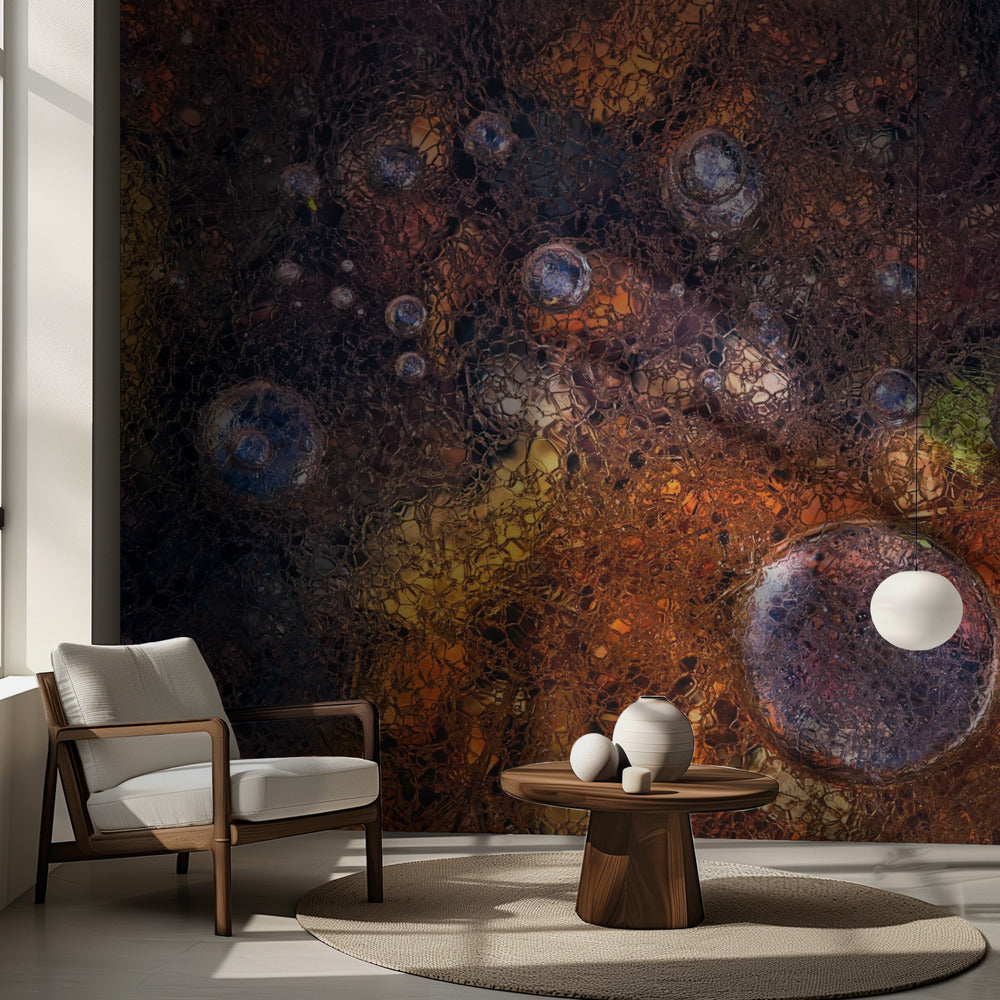 Hiver sur Automne | Fonds d'écran