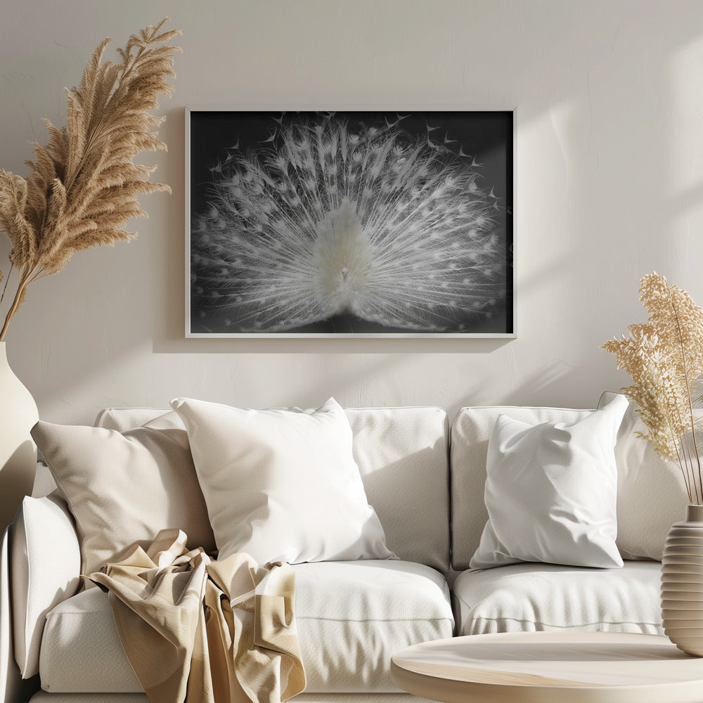bianco e nero, | Poster - Stampe d’Arte