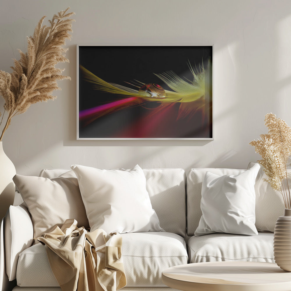 Colores en la gota | Posters - Impresiones de Arte