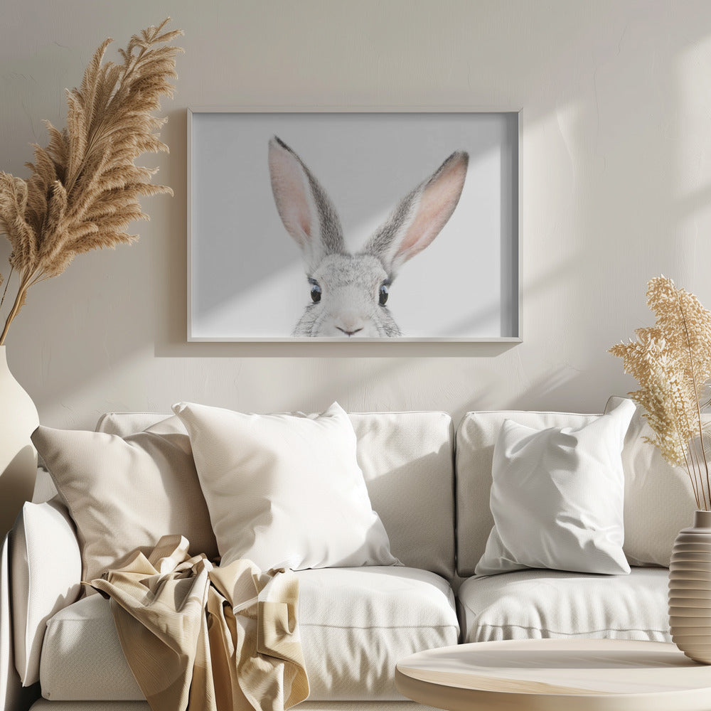 Kikker Kanin | Plakater - Kunsttryk