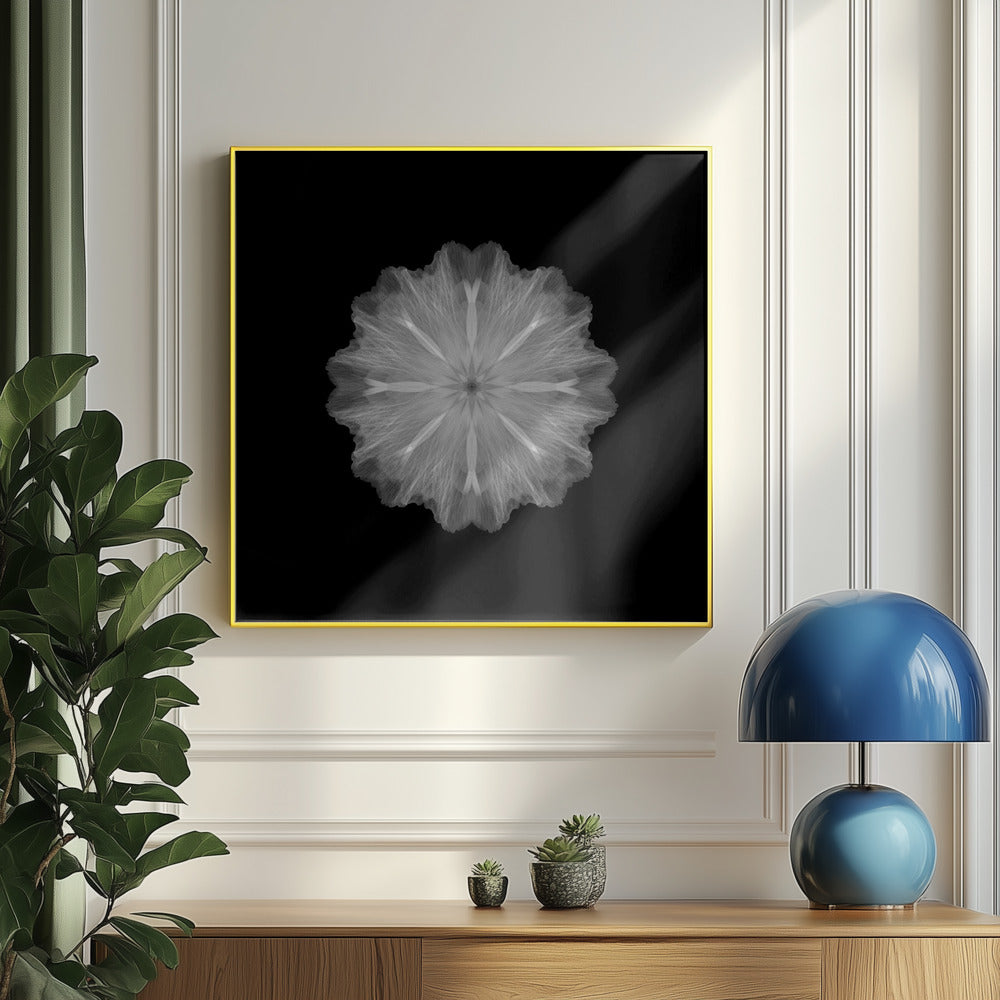 A former flower | Poster