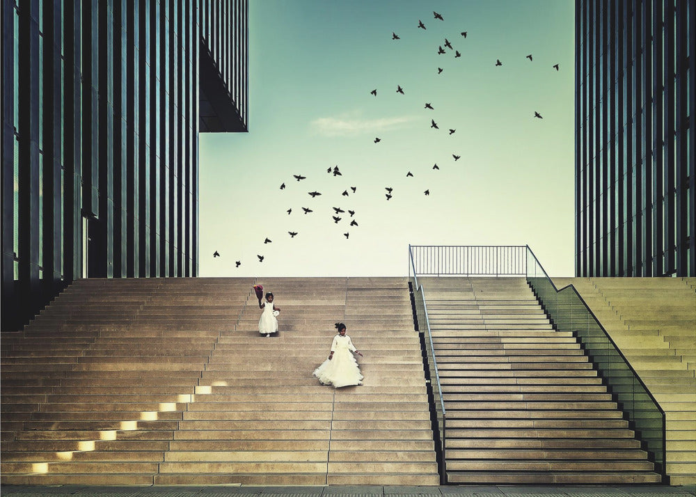 Libre comme un oiseau. . . | Posters - Affiche Artistique