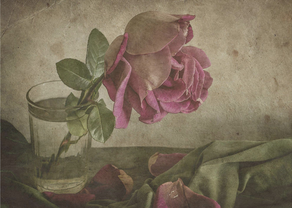 Lacrima di Rosa | Carta da Parati Fotografica