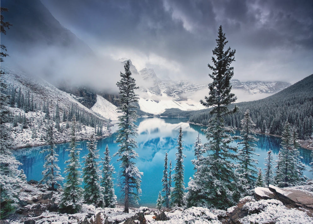 Morgenblues | Fototapeten