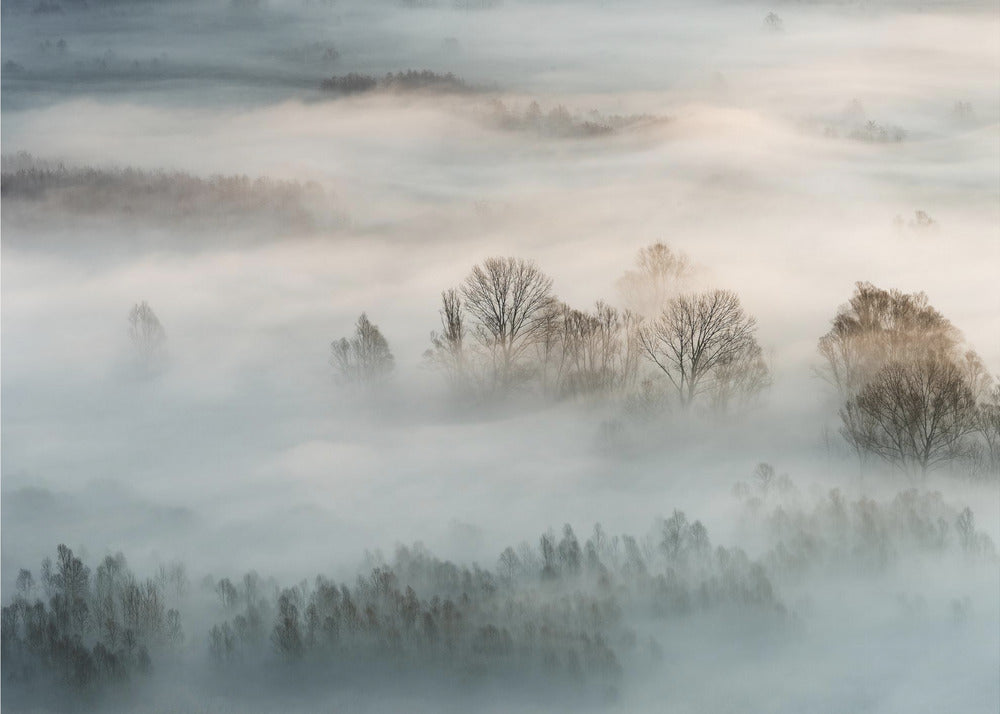 Winternebel | Fototapeten