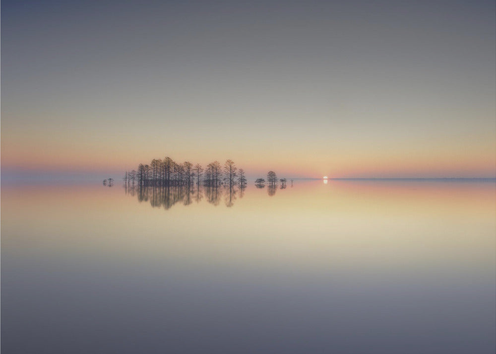 Memoria del lago Mattamuskeet | Carta da Parati Fotografica