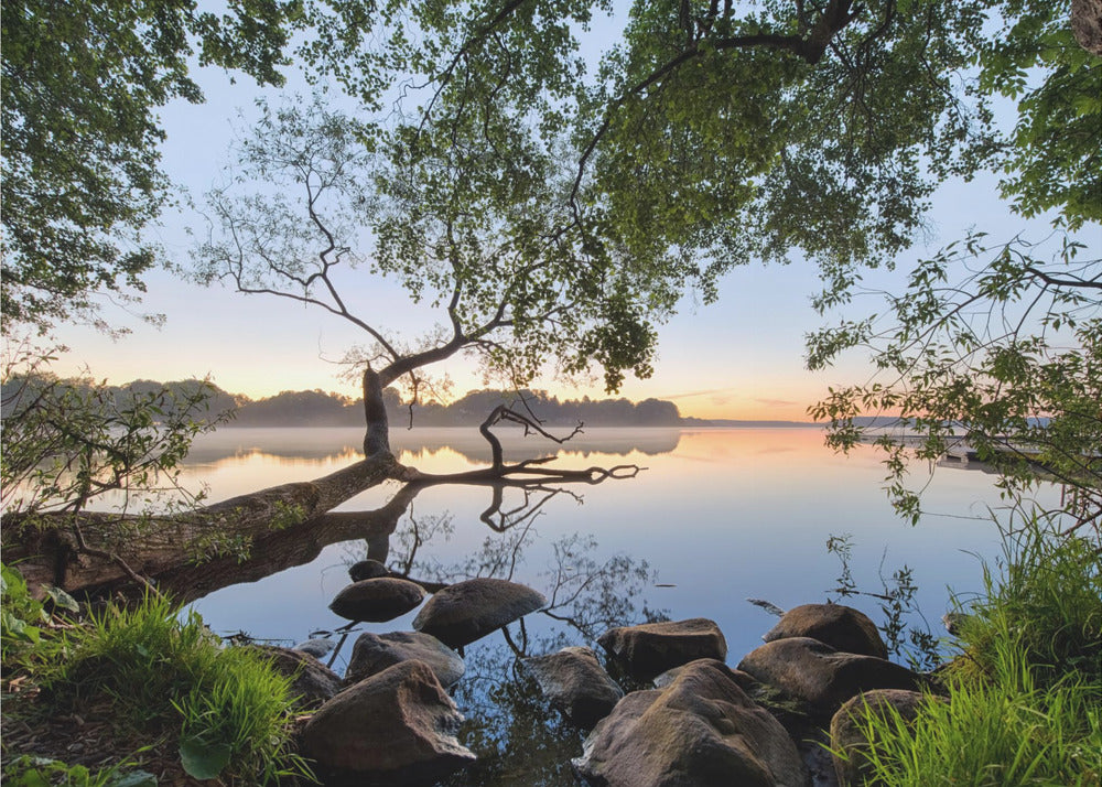 Vista lago | Carta da Parati Fotografica