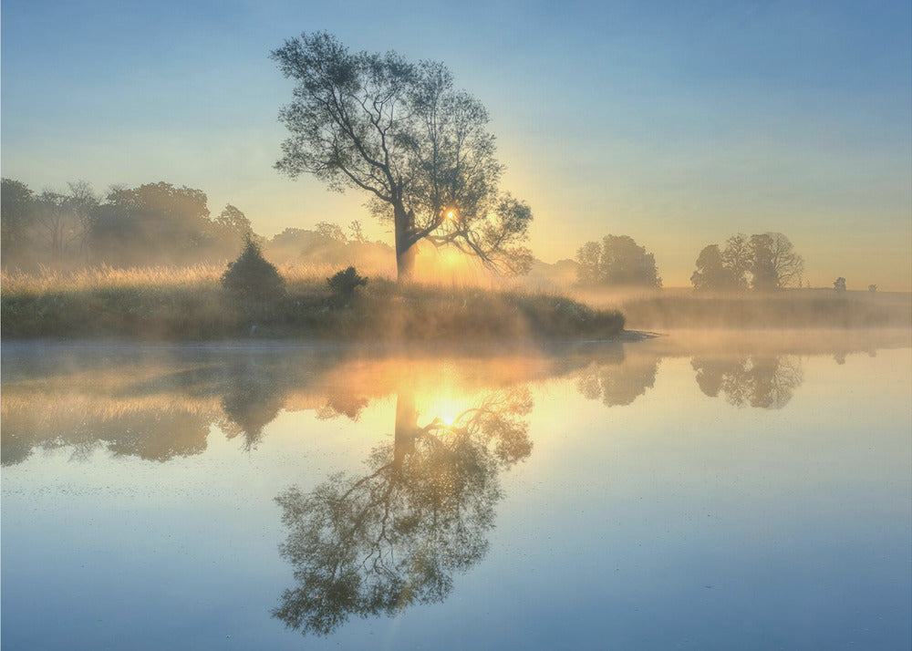 Riflessione mattutina | Carta da Parati Fotografica