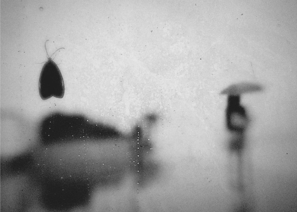 Untitled | Canvas