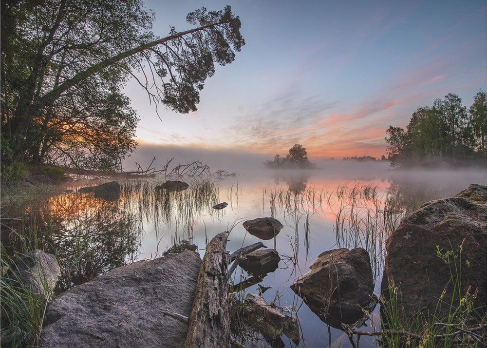 friedlicher Morgen | Fototapeten
