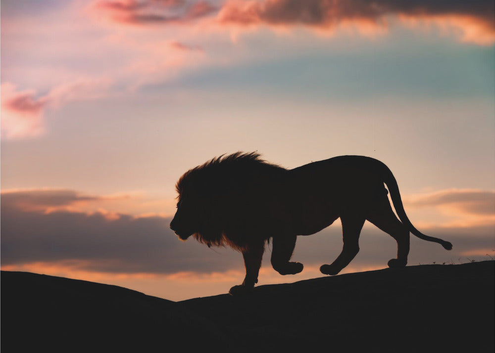 Zonsondergang in de Serengeti | Fotobehang