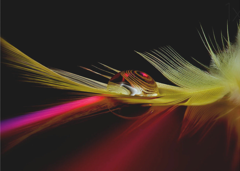 Colores en la gota | Posters - Impresiones de Arte