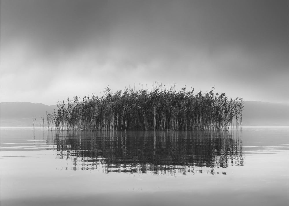 Lago Volvi VII | Carta da Parati Fotografica