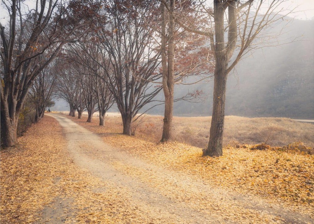 In the middle of autumn | Canvas