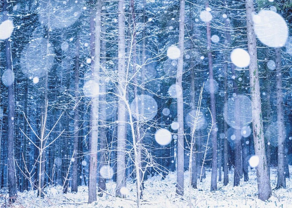 Snölandskap | Fototapet