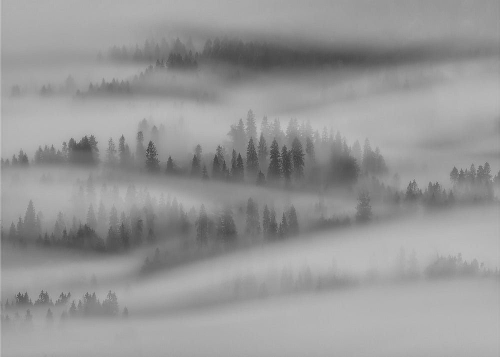 Höstintryck | Fototapet