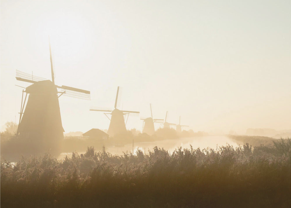 Kinderdijk | Fototapet