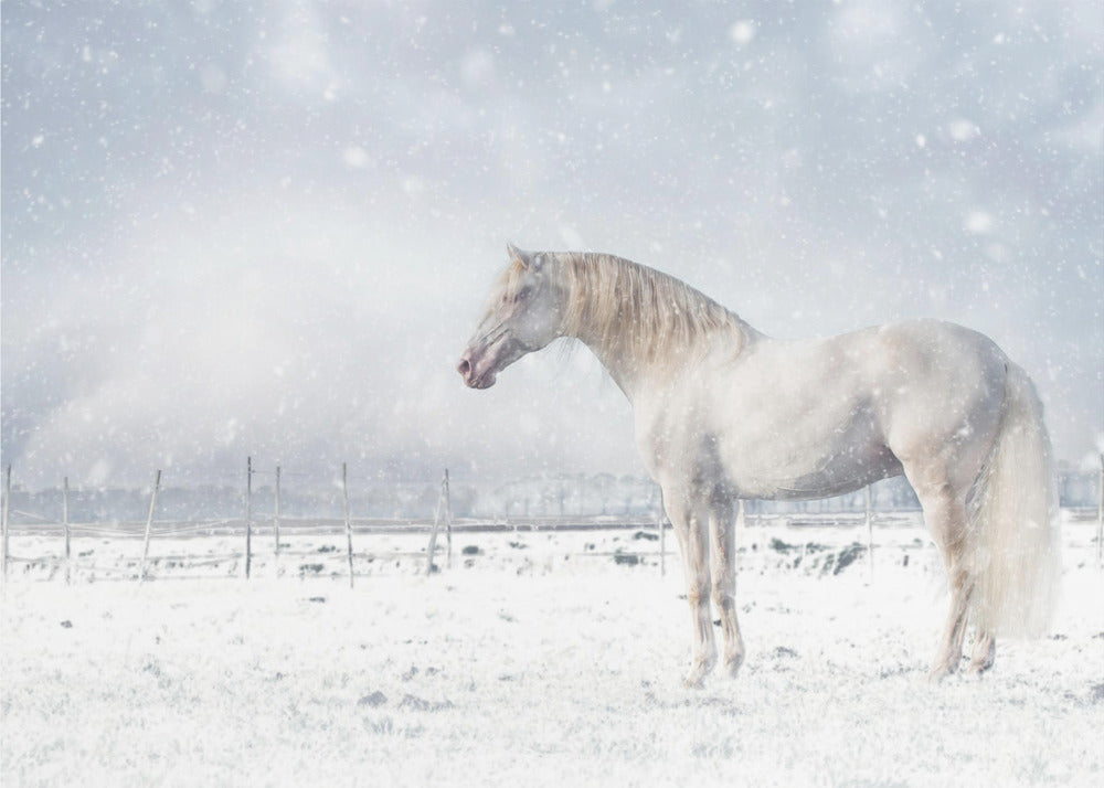 Laat het sneeuwen... | Fotobehang