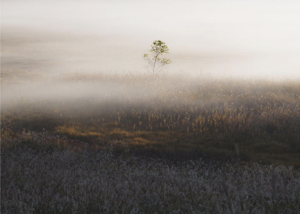 Särskild tid | Fototapet