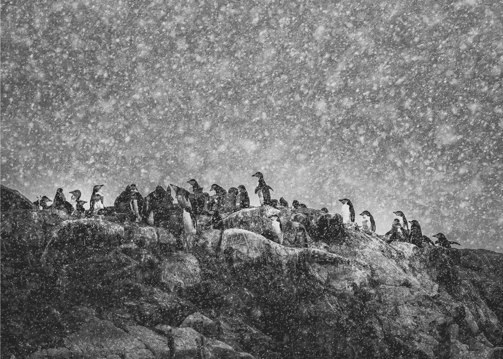 Tempête antarctique | Tableaux sur Toile