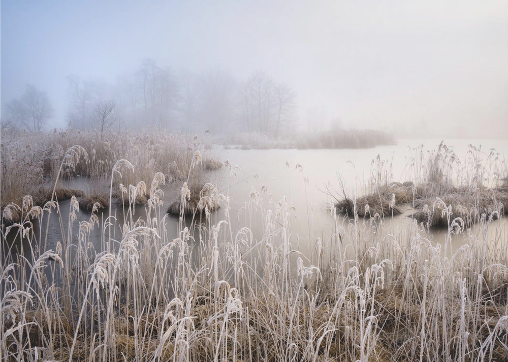 Vinter i Bayern | Fototapet