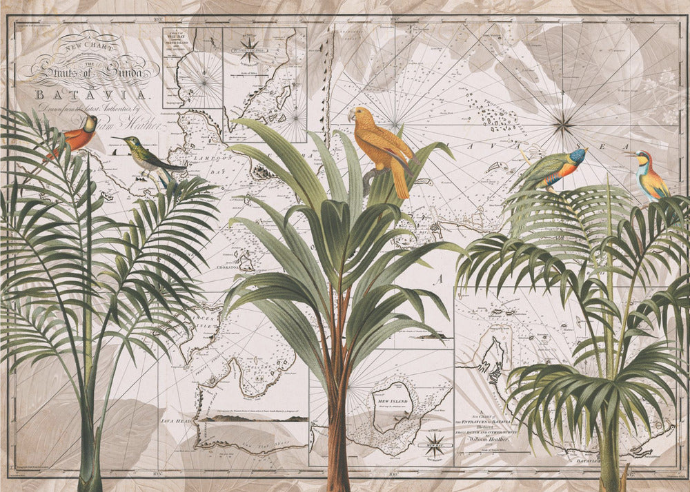 Paradiso nella giungla indonesiana n. 1 | Carta da Parati Fotografica