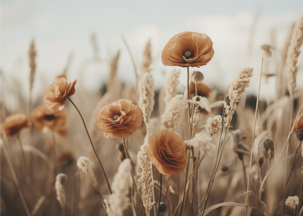 Orange Poppy Field | Canvas