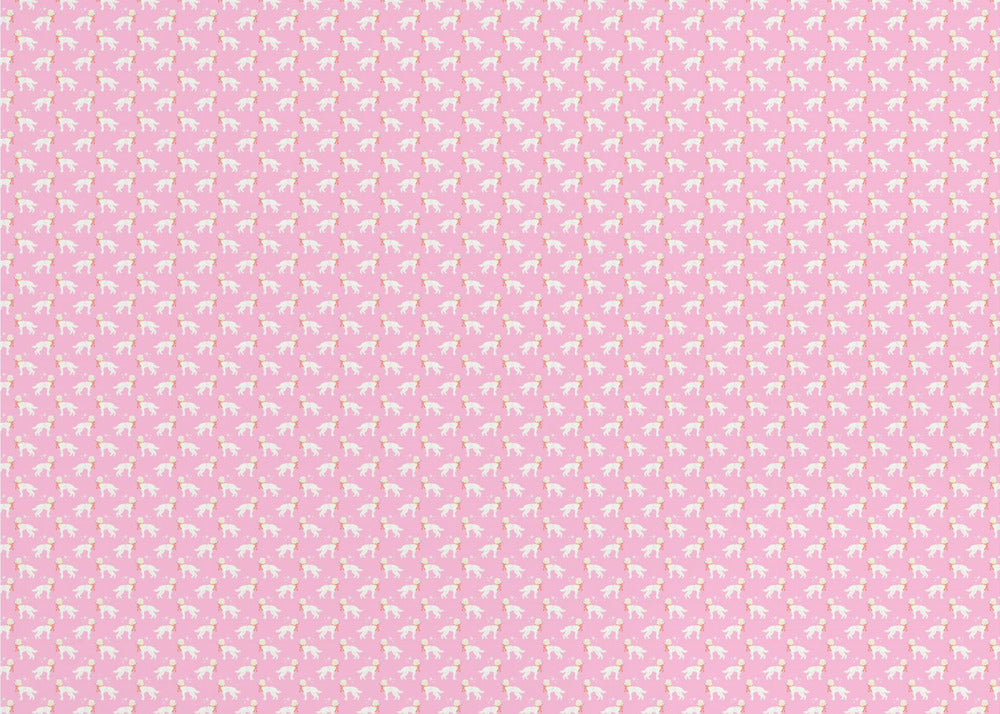 Caniches Papel Pintado Fotográfico